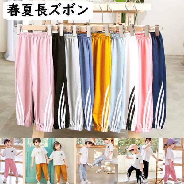 ăpcE Y{ xr[ LbY q@j̎q ̎q