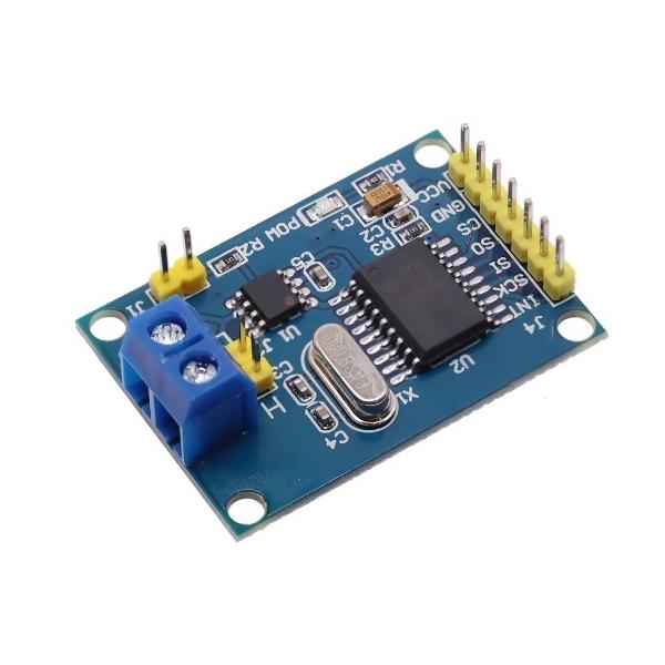 その他 pico orangepicoshop_pico-m-054