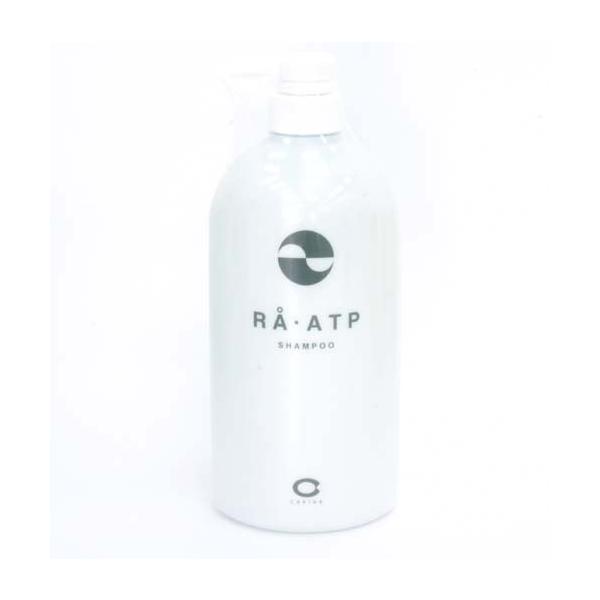 ZtB[k RAEATP Vv[ 800ml (1203011)