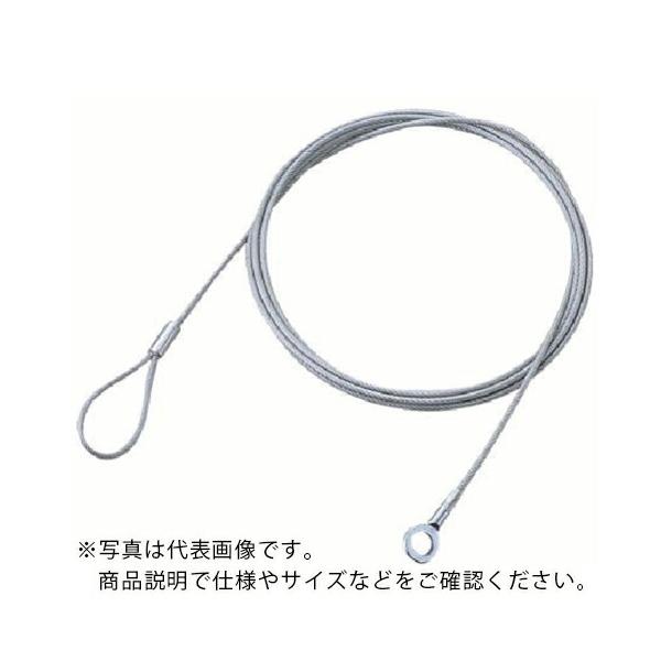 ELECOM セキュリティワイヤー (太さ2.2mm×0.5m) ( ESL-W0522 )