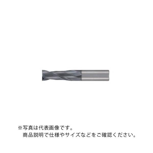 フジコシ GSX MILL 2枚刃 2.5D ( GSX21000C-2.5D  (10.0/2マイハ/2.5D) )