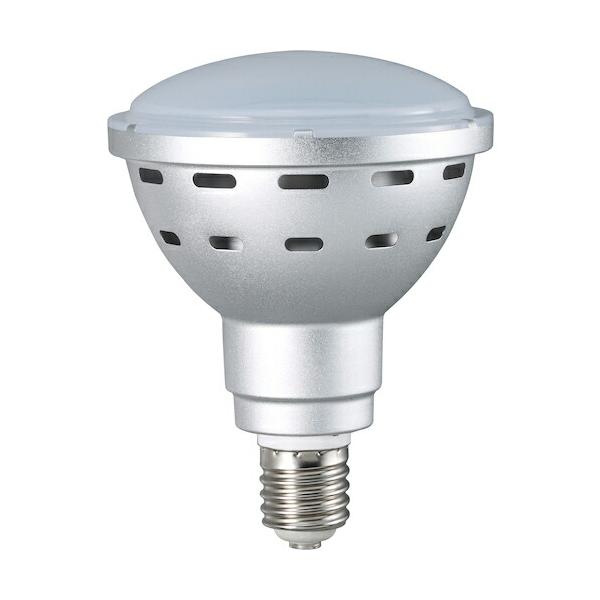 HATAYA LED電球 LDR45N ハタヤ ( ハタヤリミテッド ) 45WLED電球 LDR45N-H110 G1H20 : ORANGE
