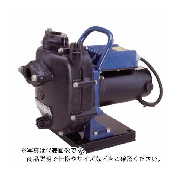 TERADA ( 寺田ポンプ製作所 ) セルプラテクポン 直流24V屋内形モートル付 ( CMP24D-200 )