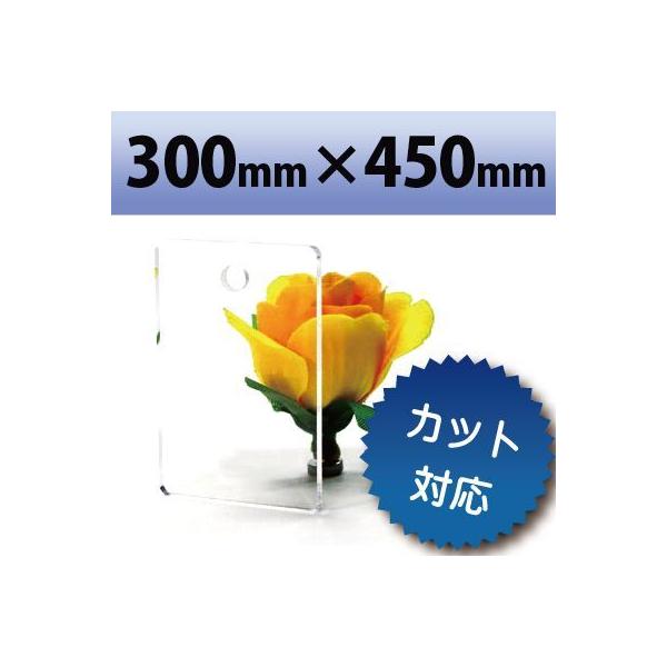 アクリル板 キャスト板 透明 300mm×450mm 厚み13mm
