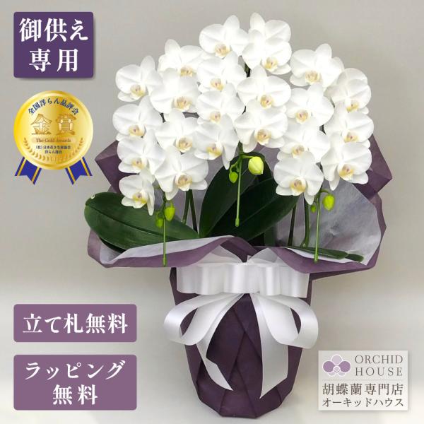 胡蝶蘭スーパーアマビリス3本立ち お供え用・高さ：60センチ前後・幅：30センチ前後・花弁直径：7センチ前後ラッピング・立て札・メッセージカード 無料で対応いたします。【 送料 】一部地域を除き送料無料別途送料（北海道・九州：1,000円／...