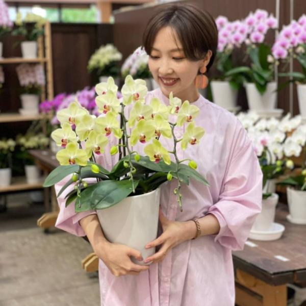 胡蝶蘭フォーチュンザルツマン3本立ち 全国洋らん品評会金賞受賞 母の日21 お誕生日お祝い Buyee 日本代购平台 产品购物网站大全 Buyee一站式代购