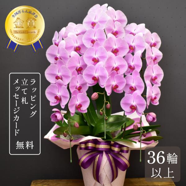 バラとピンク胡蝶蘭の豪華エレガント特大リース♪♪☆* バラとピンク胡蝶蘭の豪華エレガント特大リース♪♪☆* 胡蝶蘭