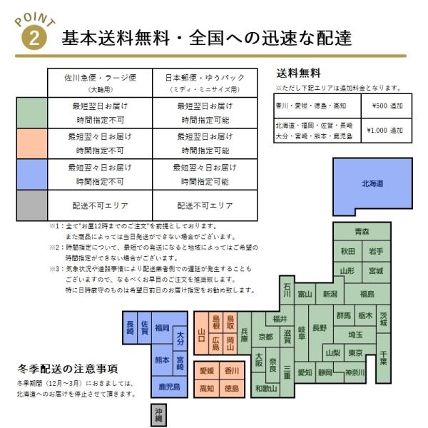 胡蝶蘭彩3本立ち 全国洋らん品評会金賞受賞胡蝶蘭 開店祝いお祝い誕生日父の日21 お中元開店祝い開院祝いご就任祝い Buyee Buyee 提供一站式最全面最專業現地yahoo
