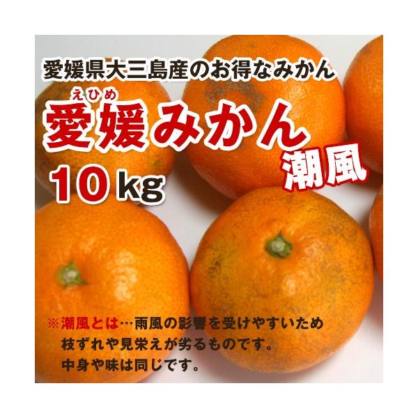 󂠂葁݂POjim[bNXOYjTCY΂΂