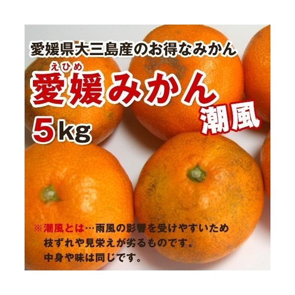 ₯󂠂傫s݂5LQY_Âk