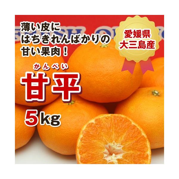 愛媛県大三島産　秀品甘平5kg＆秀品せとか5キロ 愛媛産 ”甘平” 秀品 5L〜6L 特大玉6〜7玉 約3kg 化粧箱【予約 1月中旬