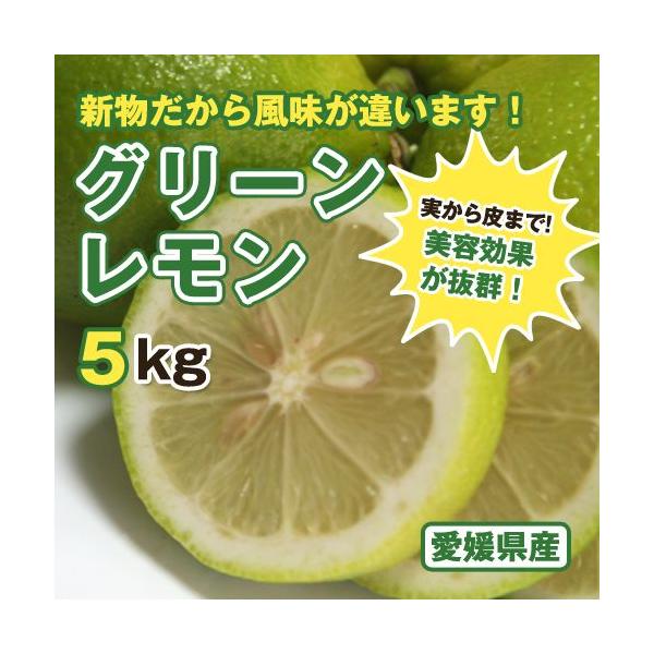 今だけお得国産レモンちょい傷 皮ごと食べれるれもん大三島産 5kg Buyee Buyee Japanese Proxy Service Buy From Japan Bot Online
