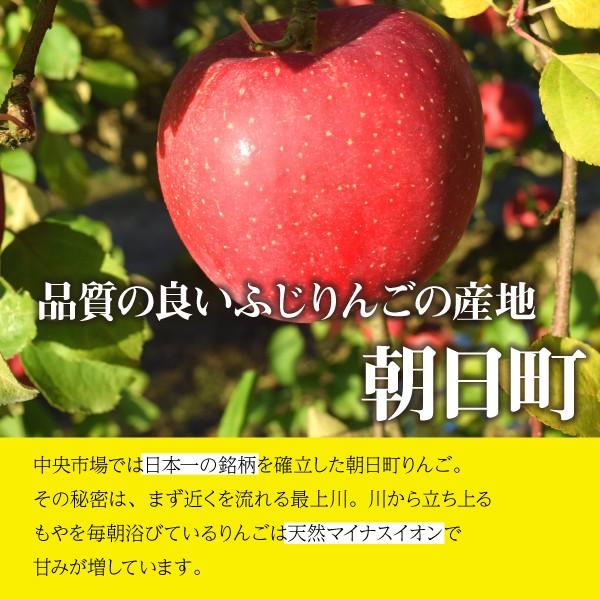 �R�`�� ��� �T���ӂ� �a����� ���H�p 10kg ������ 12����{�`�������� ���i�摜1