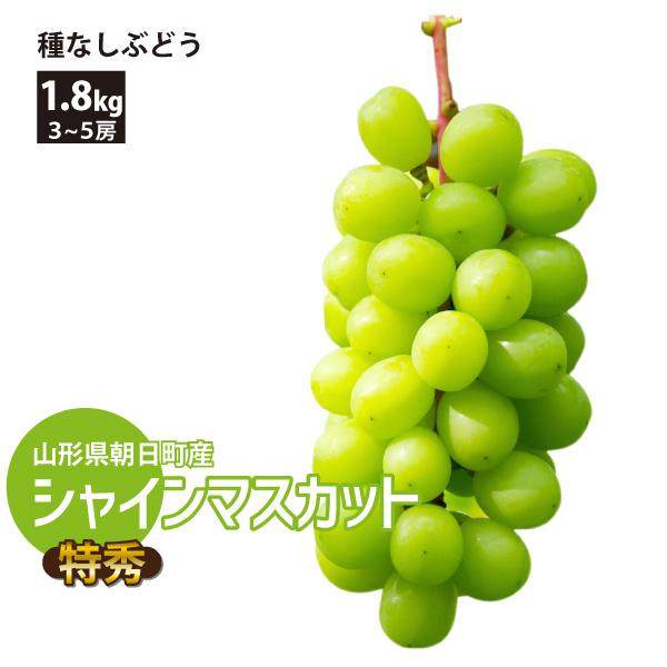 山形県 ぶどう シャインマスカット 贈答用 約1.8kg 3〜5房 朝日町 減農薬 10月上旬〜順次発送