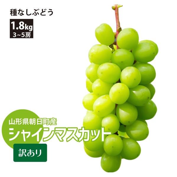 【訳あり】山形県産 減農薬 シャインマスカット 粒 山形県 ぶどう シャインマスカット 訳あり 約1.8kg 3〜5房 朝日町 減