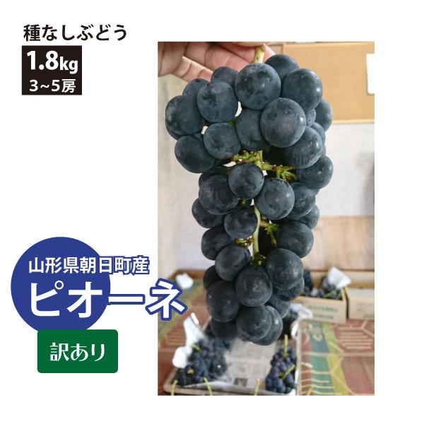 山形県 ぶどう ピオーネ 訳あり 約1.8kg 3〜5房 朝日町 減農薬 9月上旬〜順次発送