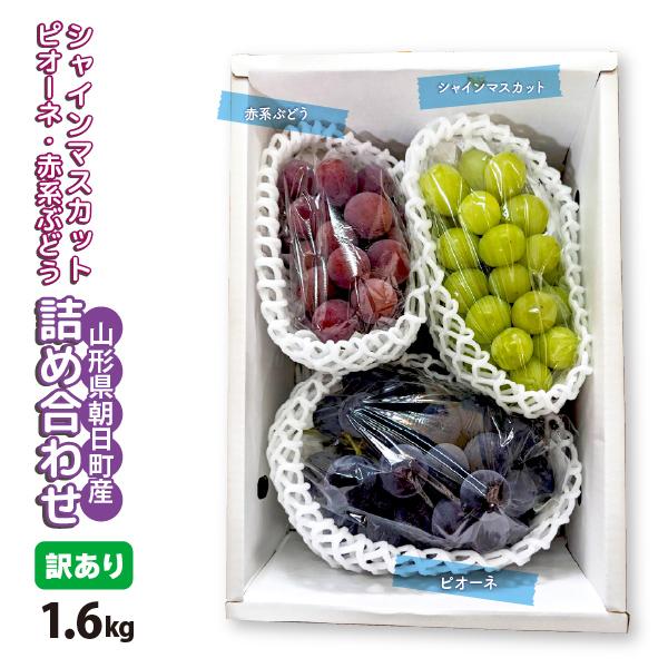 山形県 ぶどう 3色詰め合わせ 訳あり 約1.6kg 3房 シャインマスカット ピオーネ 赤系ぶどう 朝日町 9月中旬〜順次発送