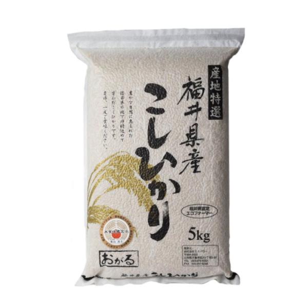 コシヒカリ 5kg 送料無料 玄米 令和7年度 福井県産 特別栽培米 農薬未使用 化学肥料未使用 真空パック 福井県認定エコファーマー