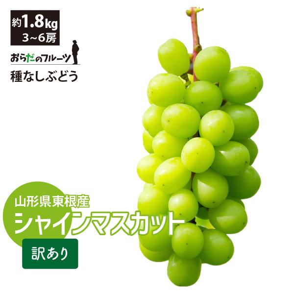 ぶどう シャインマスカット 訳あり 約1.8kg 3〜6房 山形県東根市