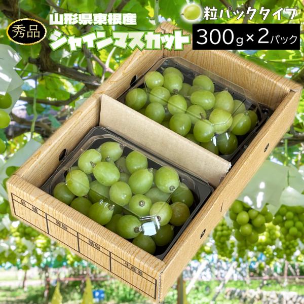 ぶどう シャインマスカット 秀品 粒カットパック 約0.6kg 300g×2パック クール(冷蔵便) 山形県東根市 9月下旬〜順次発送