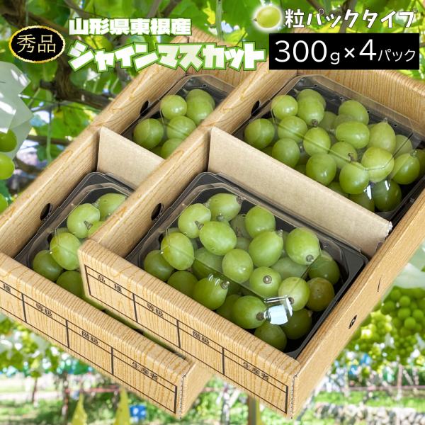 ぶどう シャインマスカット 秀品 粒カットパック 約1.2kg 300g×4パック クール(冷蔵便) 山形県東根市 9月下旬〜順次発送