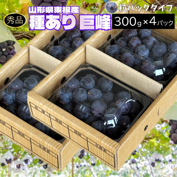 ぶどう 巨峰 種あり 秀品 粒カットパック 約1.2kg 300g×4パック クール(冷蔵便) 山形県東根市 9月下旬 順次発送