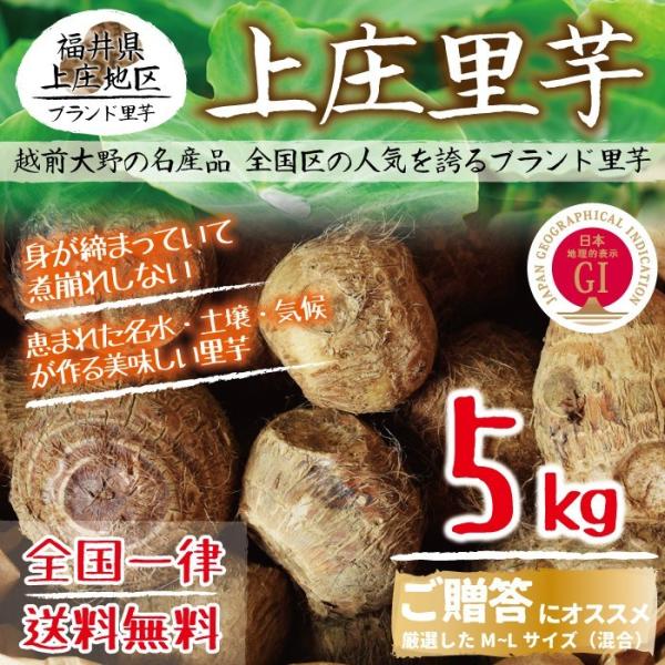 上庄里芋 5kg 送料無料 厳選 M Lサイズ混合 ギフト ご贈答にオススメ 福井県産 ブランド里芋 テレビでも紹介される人気の土付き上庄里芋 Sato 010 おがる 通販 Yahoo ショッピング