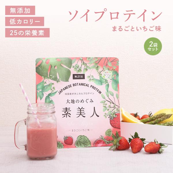 ソイプロテイン まるごといちご味 大地のめぐみ素美人 500g 国産 無添加 女性 の為の完全食 タ...