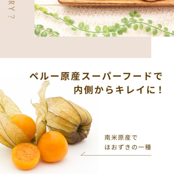 ゴールデンベリー 有機 300g ドライフルーツ オーガニック 果物 スーパーフード 食用ほおずき インカベリー 送料無料 Buyee Buyee Japanese Proxy Service Buy From Japan Bot Online