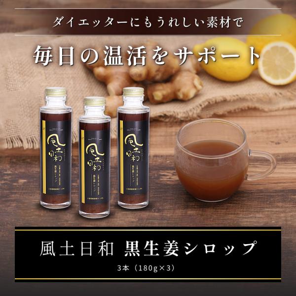 ジンジャーシロップ 国産 無添加 3本セット ショウガオール57倍の熟成発酵黒生姜使用 温活 生姜シロップ 白砂糖不使用 保存料 香料未使用 宮崎県産 送料無料