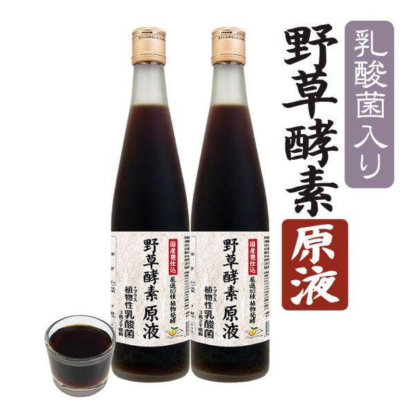 野草酵素 原液 3.2兆個の乳酸菌 酵素飲料 酵素ドリンク 500ml×2本セット :KOSO-NS-500ML-02:オーガニック・セレクトストア - 通販 - Yahoo!ショッピング 野草酵素 原液 3.2兆個の乳酸菌 酵素飲料 酵素ドリンク 500ml×2本セット :KOSO-NS-500ML-02:オーガニック・セレクトストア - 通販 - Yahoo!ショッピング