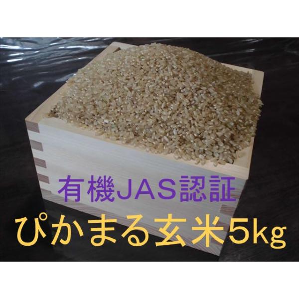 有機JAS認証【無農薬米・有機栽培「ぴかまる」玄米5kg 有機JAS認証【無農薬米・有機栽培「ぴかまる」玄米5kg