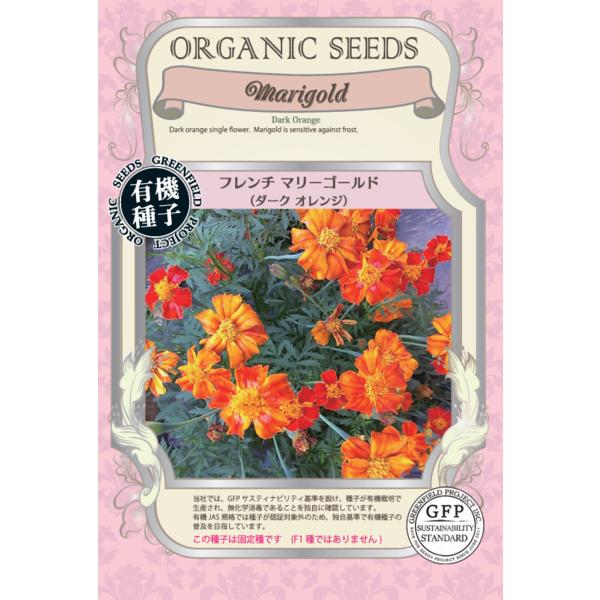 花の種 フレンチマリーゴールド ダークオレンジ オーガニック 有機種子 固定種
