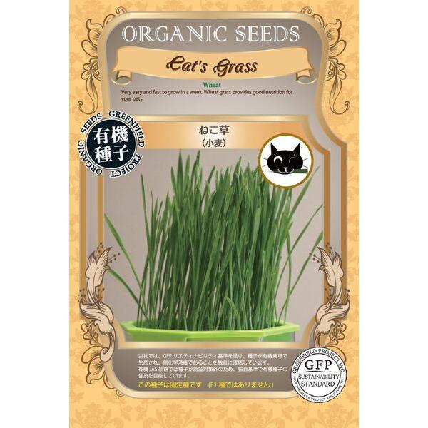 ねこ草 小麦 オーガニック 有機種子 固定種
