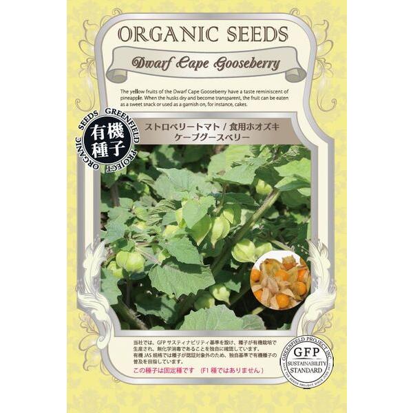 ストロベリートマト 食用ホオズキ 種 ケープグースベリー オーガニック 有機種子 固定種