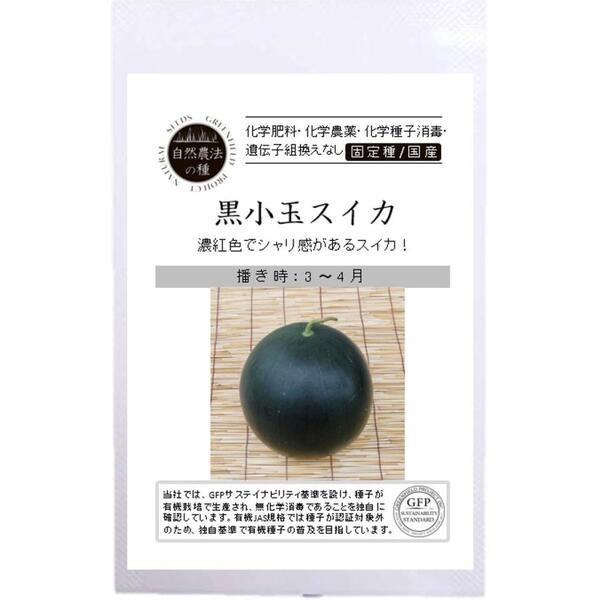 すいか スイカ 種 黒小玉スイカ オーガニック 自然農法 自然栽培 固定種