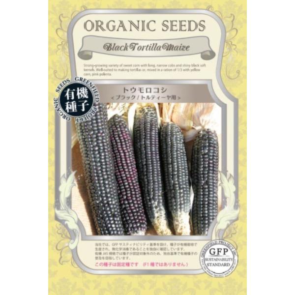とうもろこし トウモロコシ 種 ブラック トルティーヤ用 オーガニック 有機種子 固定種真っ黒が特徴的なトウモロコシで、スイートコーンの系統になりますが、そのまま食べる市販のスイートコーンほど甘くなく、メキシコ料理などに使われるトルティーヤ...