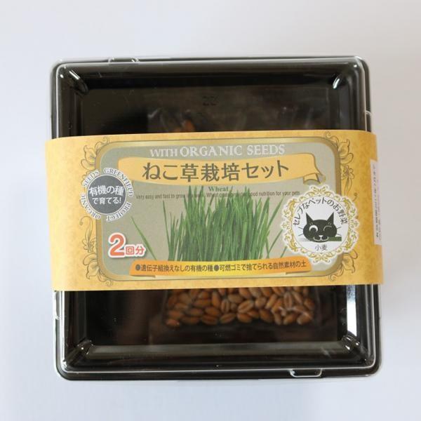 ねこ草栽培キット オーガニックで育てる安心のペットフード 有機種子 B035 ミドリの種屋 通販 Yahoo ショッピング