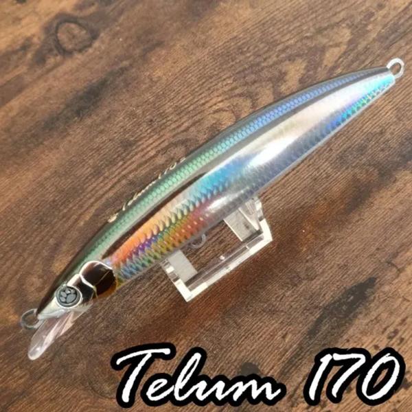 KM工房 テールム170S ウルメイワシ(km-467222)[M便 1/2]