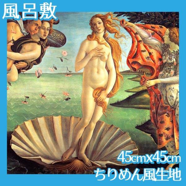 C~(:45cm45cm) {beB`F S2 ߂񕿐n