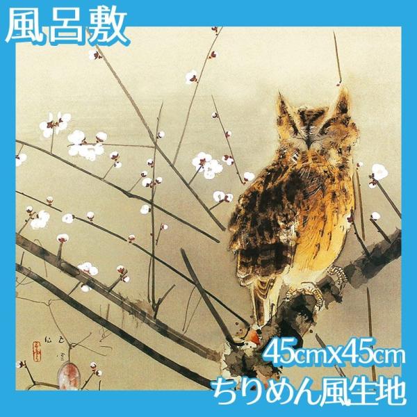 C~(:45cm45cm) ܉_ S1 ߂񕿐n