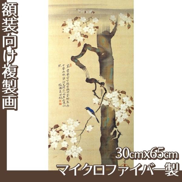 30cm×65cm(z) (No.41~57) }CNt@Co[