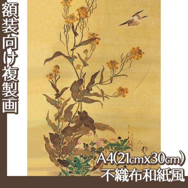 A4(z) (No.21~40) sDza