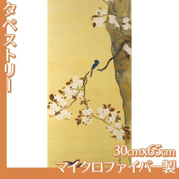 ^yXg[30cm×65cm (No.41~57) }CNt@Co[