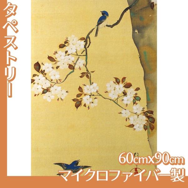 ^yXg[60cm×90cm (No.41~57) }CNt@Co[