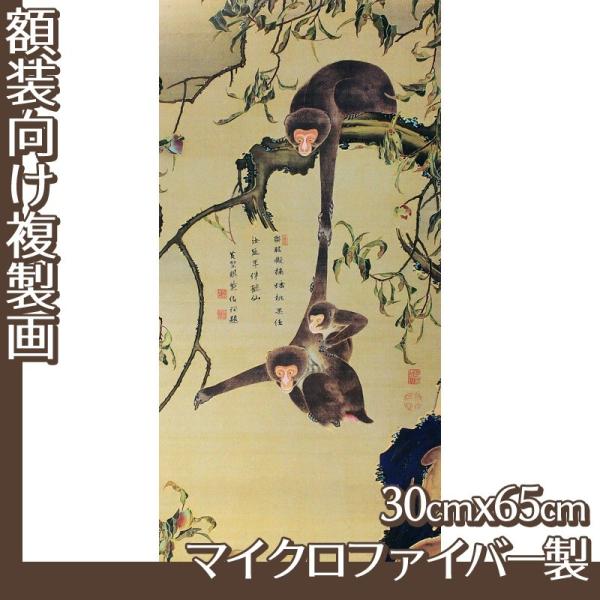 30cm×65cm(z) ɓt(No.41~60) }CNt@Co[