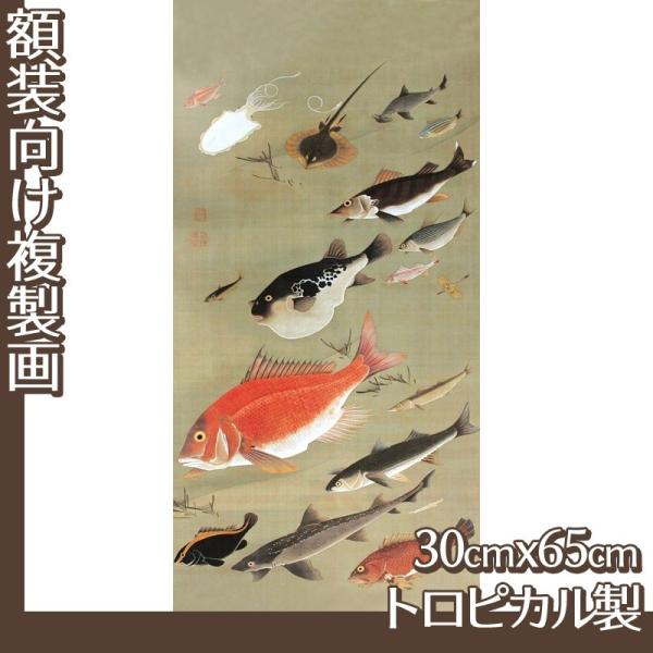 30cm×65cm(z) ɓt(No.41~60) gsJ
