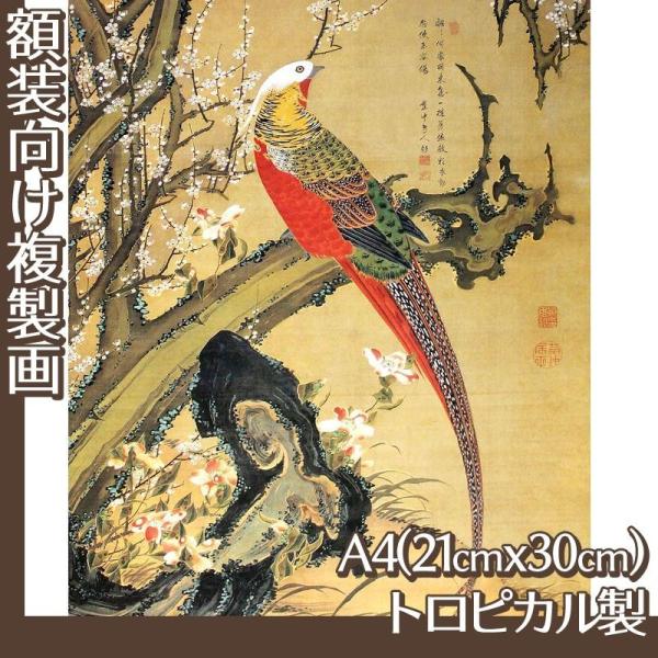 A4(z) ɓt(No.21~40) gsJ