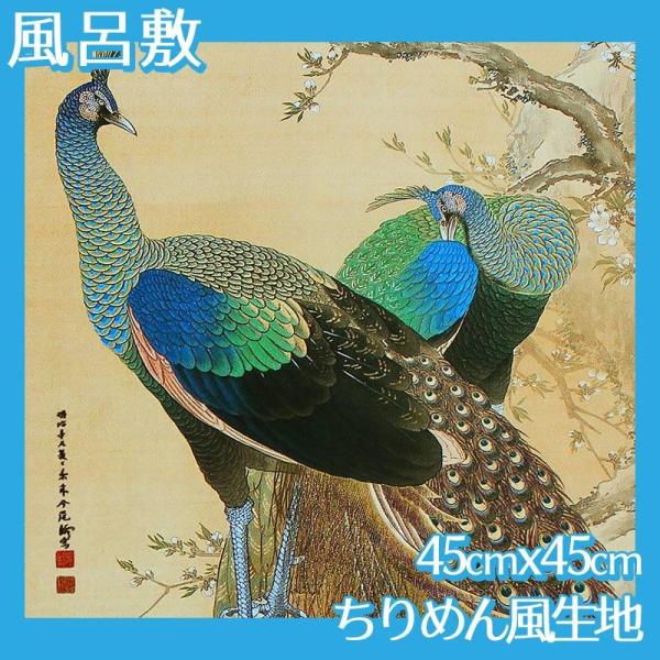 C~(:45cm45cm) iN S1 ߂񕿐n