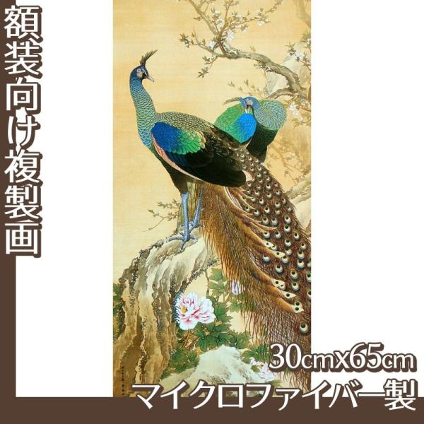 30cm×65cm(z) iN S1 }CNt@Co[